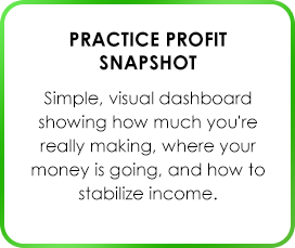 Practice Profit Snapshot Simple, visual dashboard showing how much you're really making, where your money is going, and how to stabilize income.