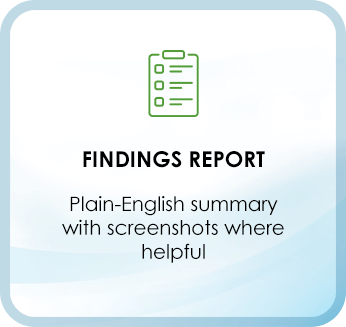 Findings Report Plain-English summary with screenshots where helpful